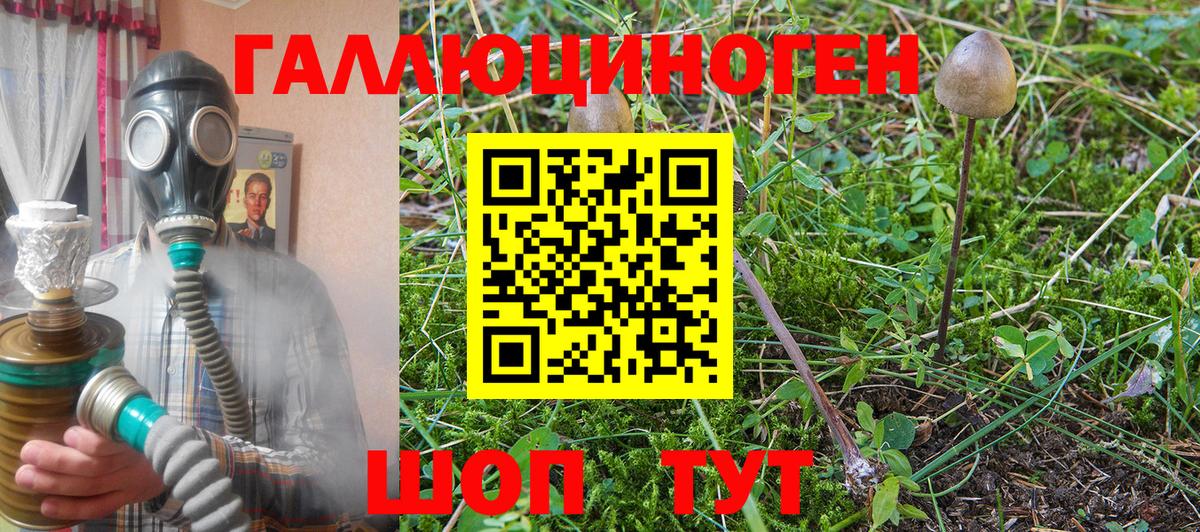 Псилоцибиновые грибы Magic Shrooms Бузулук