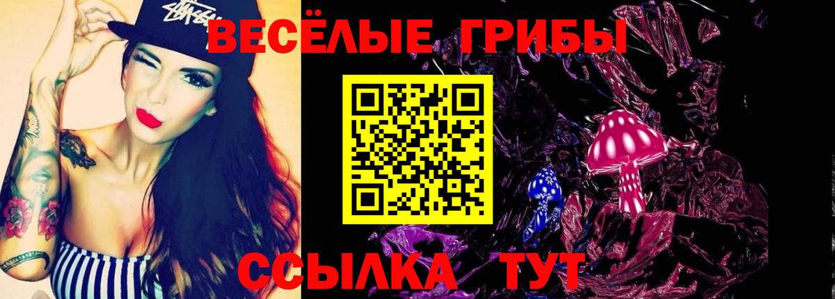 Псилоцибиновые грибы GOLDEN TEACHER Бузулук